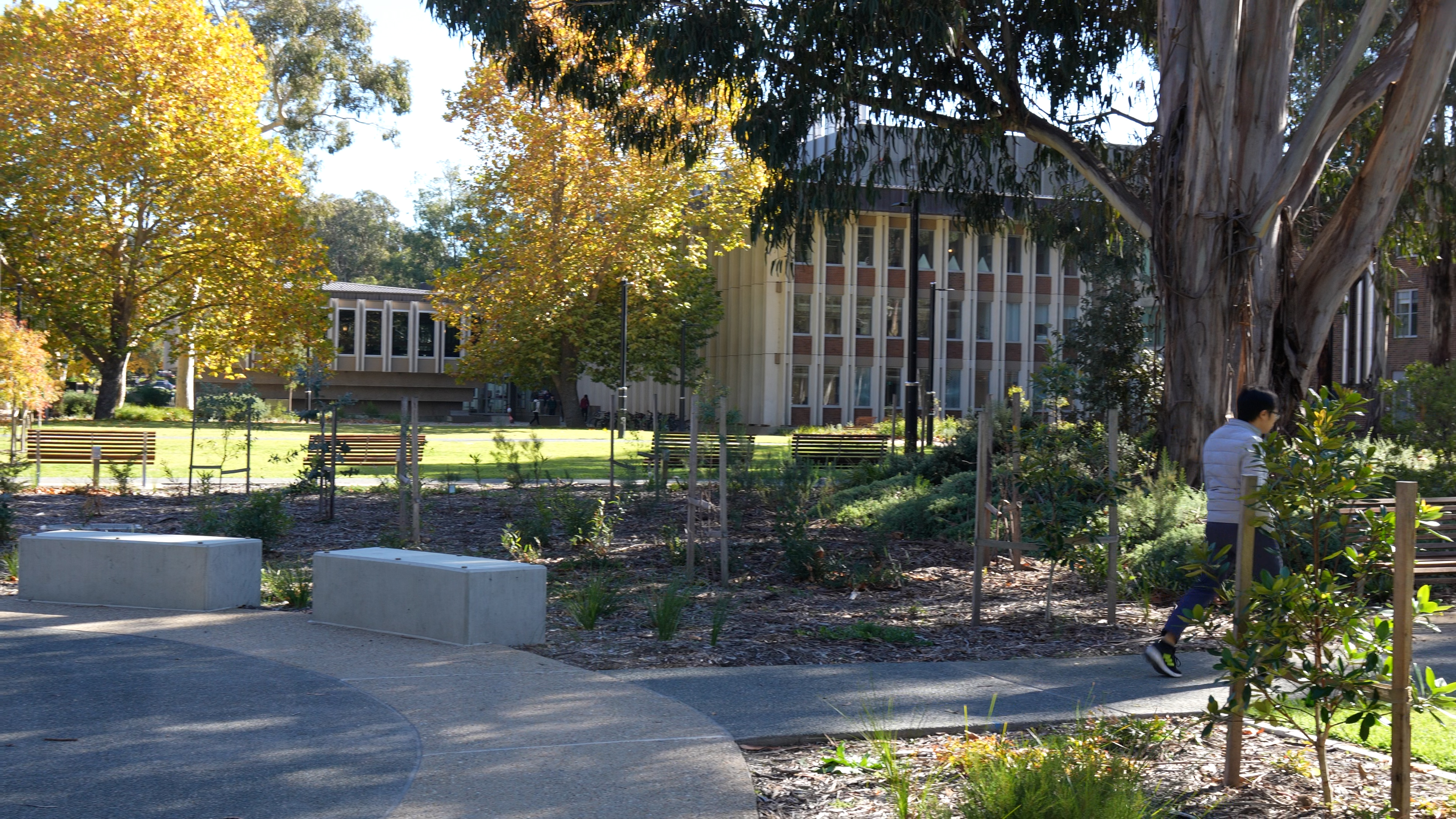 CECC courtyard featuring the Birch Building
