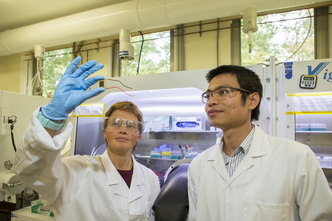 New efficiency record for low-cost solar cell
