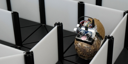 A coconut shell robot was among many dozens that attempted to complete mazes in "Discovering Engineering", an introductory course for students at ANU.